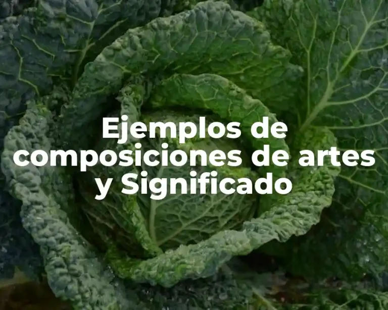 Ejemplos de composiciones de artes y Significado