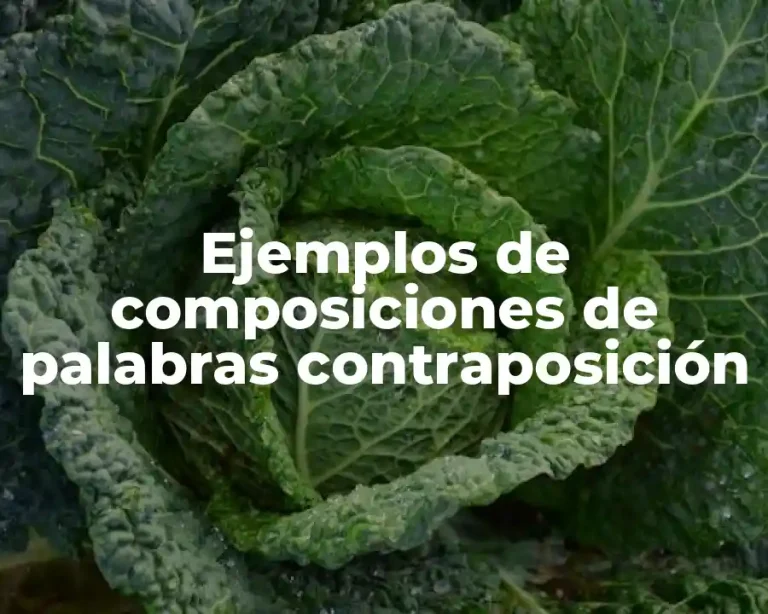 Ejemplos de composiciones de palabras contraposición