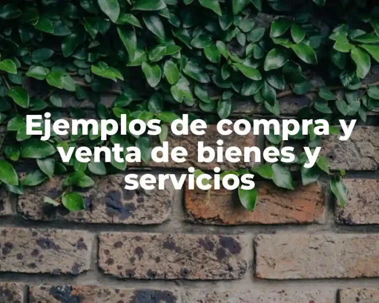 Ejemplos de compra y venta de bienes y servicios