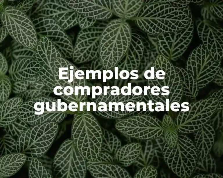 Ejemplos de compradores gubernamentales