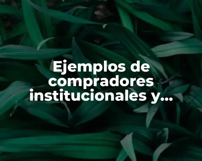 Ejemplos de compradores institucionales y Significado