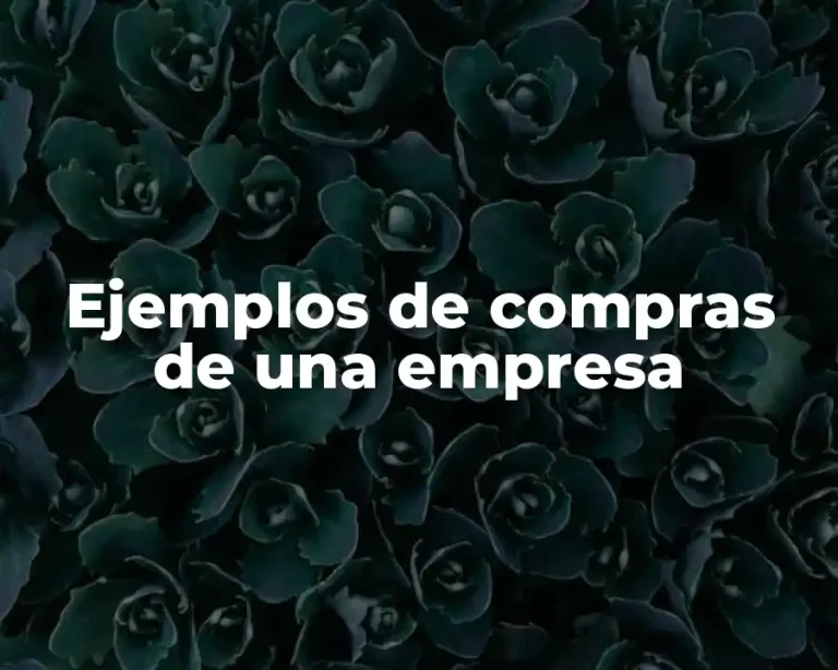 Ejemplos de compras de una empresa