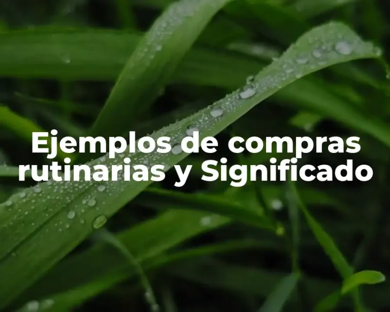 Ejemplos de compras rutinarias y Significado