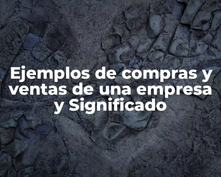 Ejemplos de compras y ventas de una empresa y Significado
