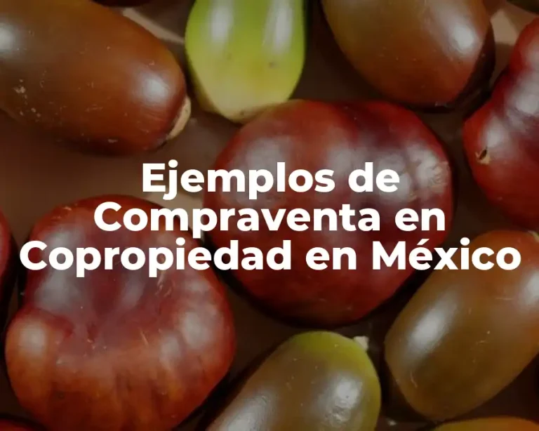 Ejemplos de Compraventa en Copropiedad en México