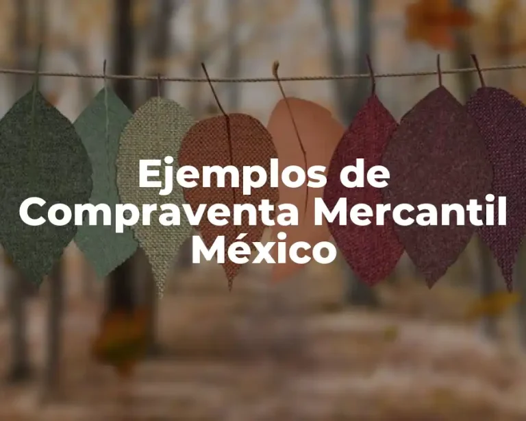 Ejemplos de Compraventa Mercantil México