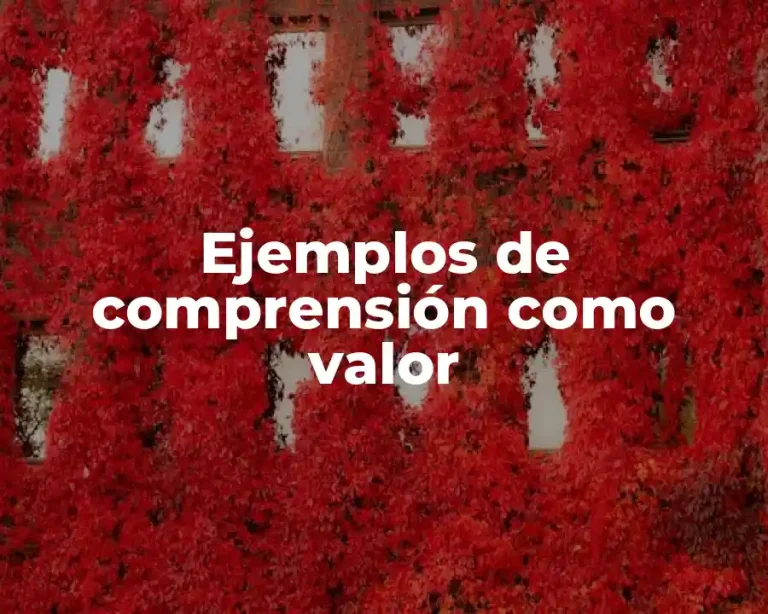 Ejemplos de comprensión como valor