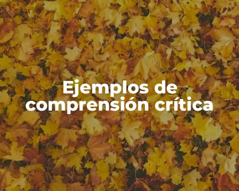 Ejemplos de comprensión crítica