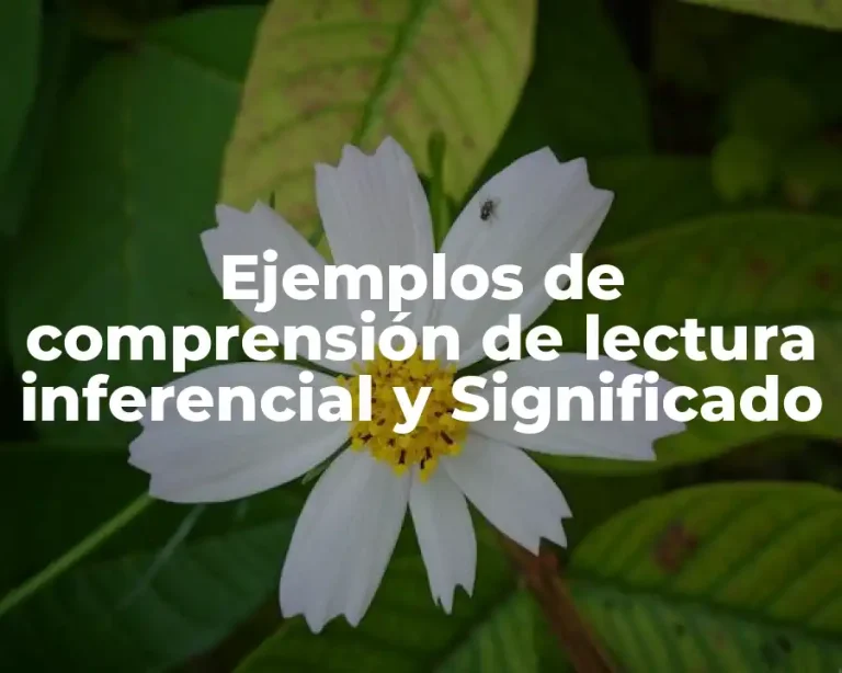 Ejemplos de comprensión de lectura inferencial y Significado