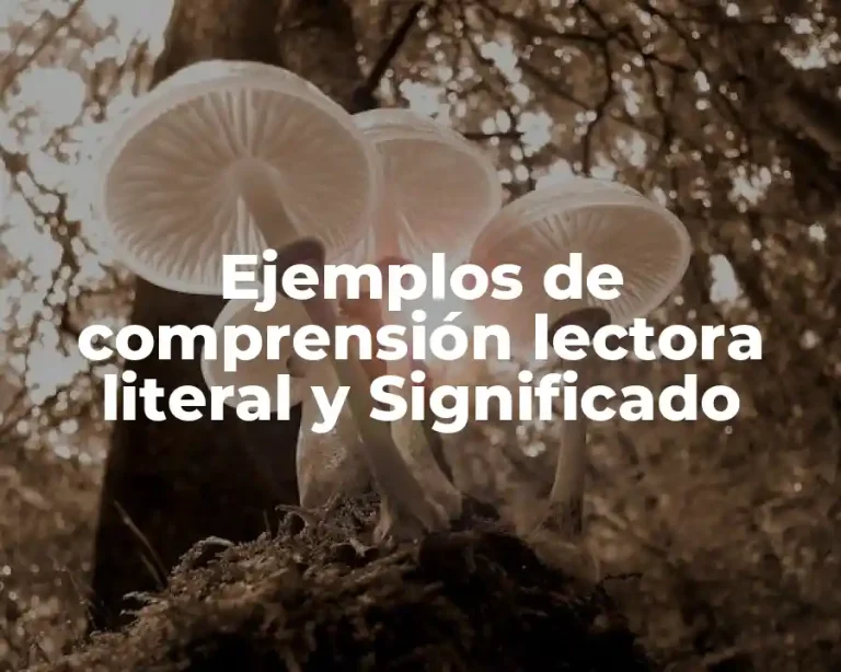 Ejemplos de comprensión lectora literal y Significado