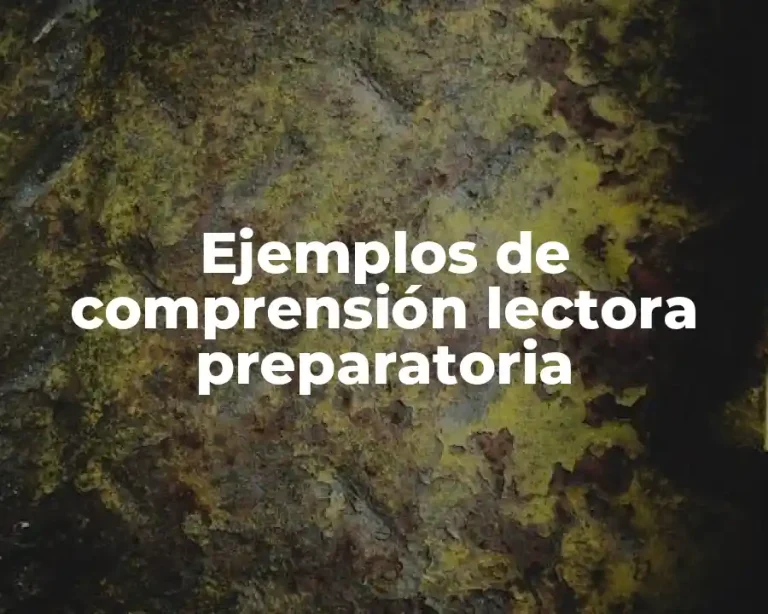Ejemplos de comprensión lectora preparatoria