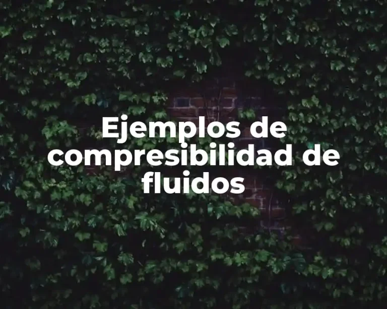 Ejemplos de compresibilidad de fluidos