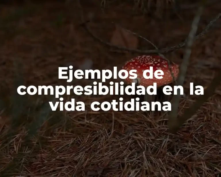 Ejemplos de compresibilidad en la vida cotidiana