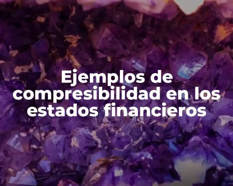 Ejemplos de compresibilidad en los estados financieros