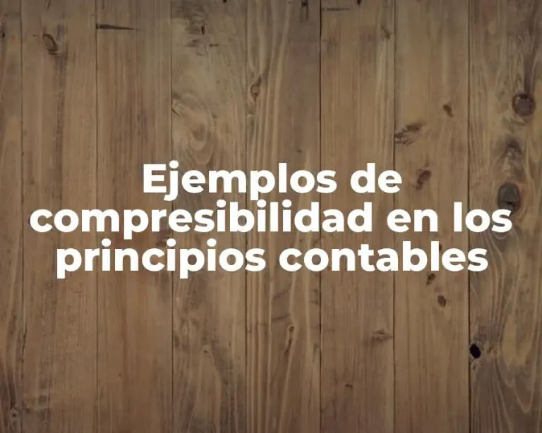 Ejemplos de compresibilidad en los principios contables
