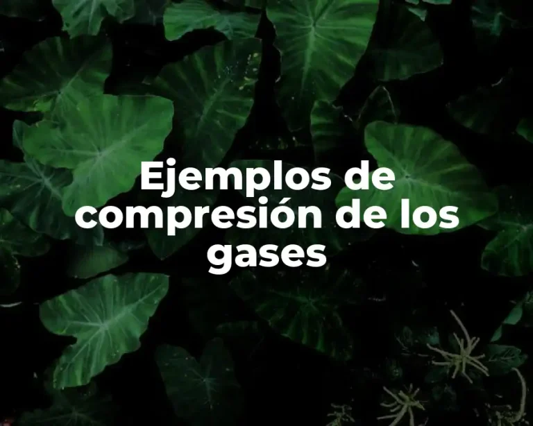 Ejemplos de compresión de los gases