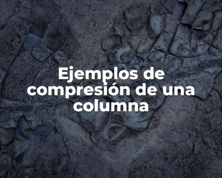 Ejemplos de compresión de una columna