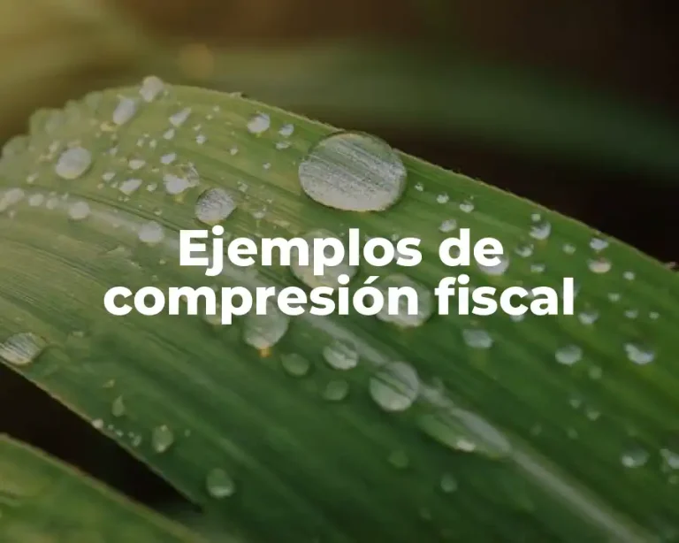 Ejemplos de compresión fiscal