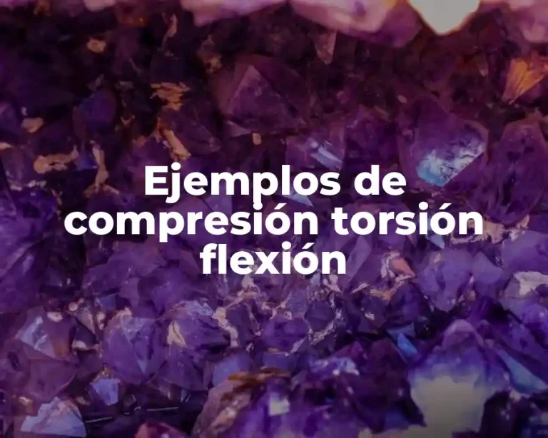 Ejemplos de compresión torsión flexión