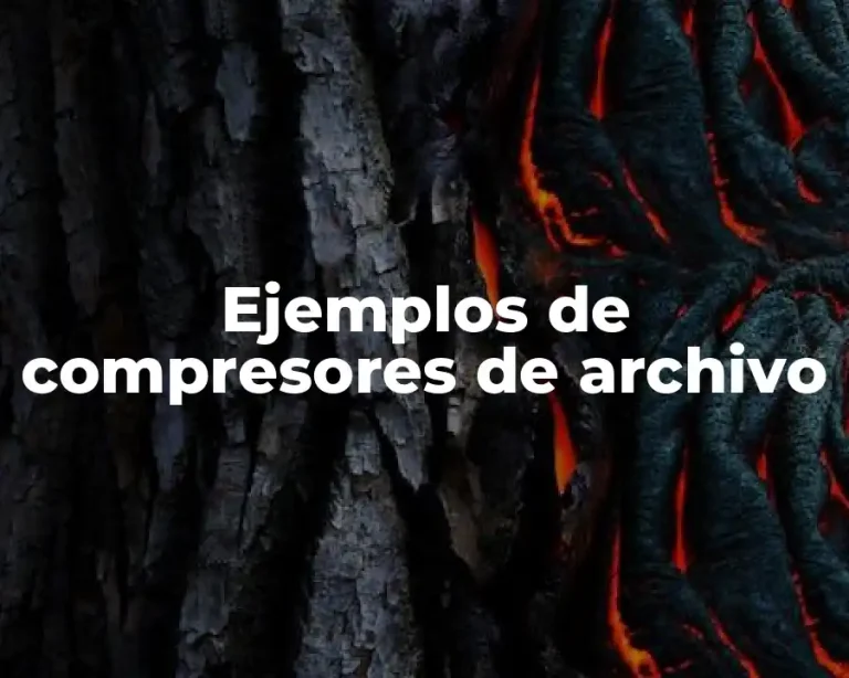 Ejemplos de compresores de archivo
