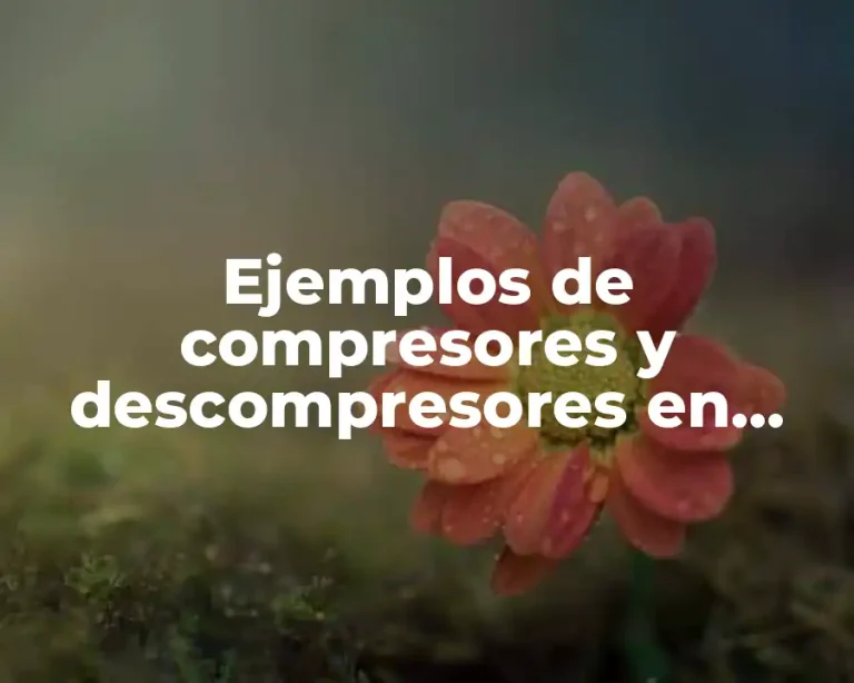 Ejemplos de compresores y descompresores en informática