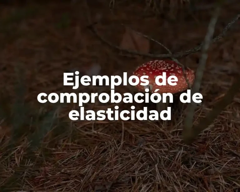 Ejemplos de comprobación de elasticidad