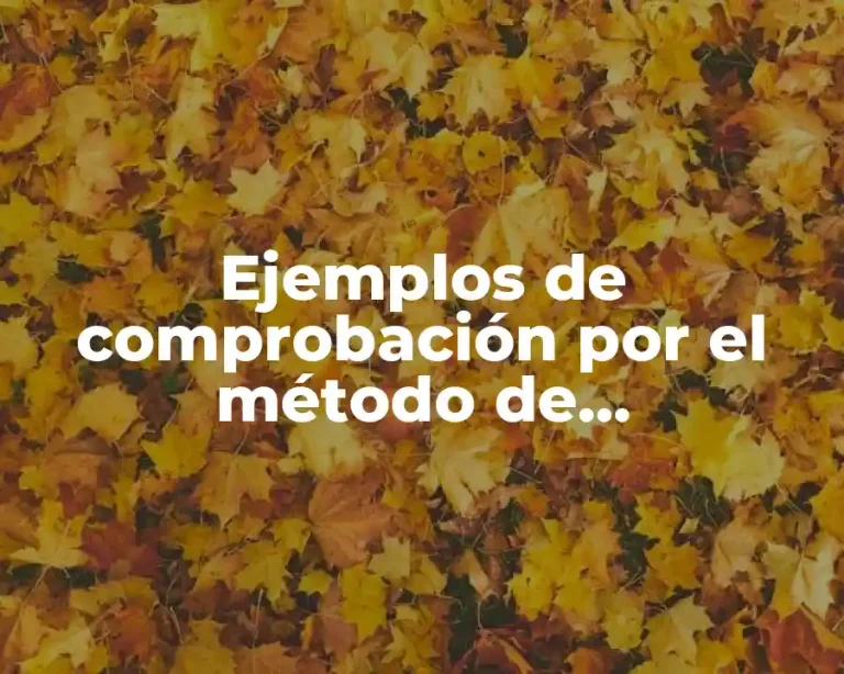 Ejemplos de comprobación por el método de comprobación directa y Significado