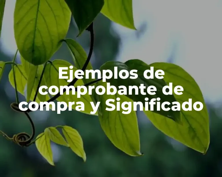 Ejemplos de comprobante de compra y Significado