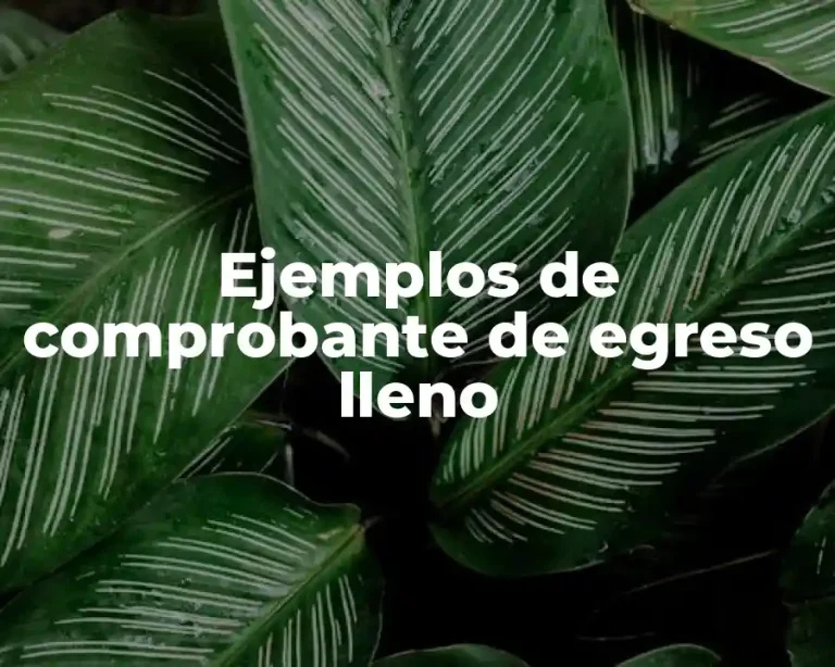 Ejemplos de comprobante de egreso lleno