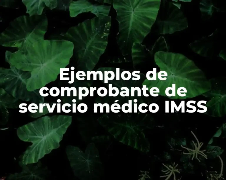 Ejemplos de comprobante de servicio médico IMSS