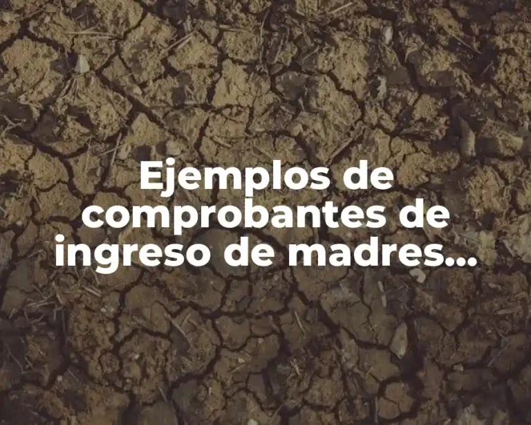 Ejemplos de comprobantes de ingreso de madres solteras