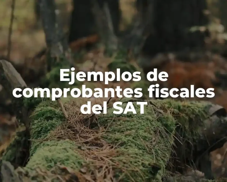 Ejemplos de comprobantes fiscales del SAT