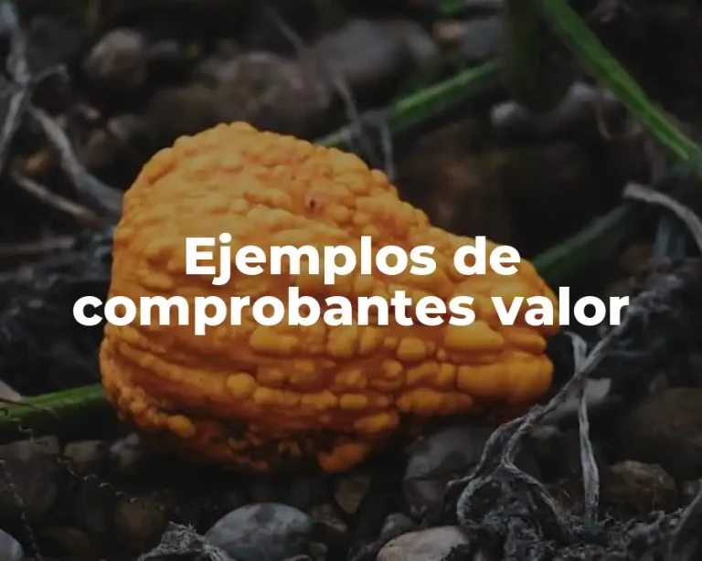 Ejemplos de comprobantes valor