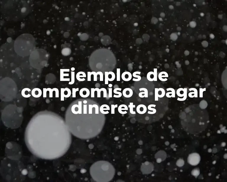 Ejemplos de compromiso a pagar dineretos