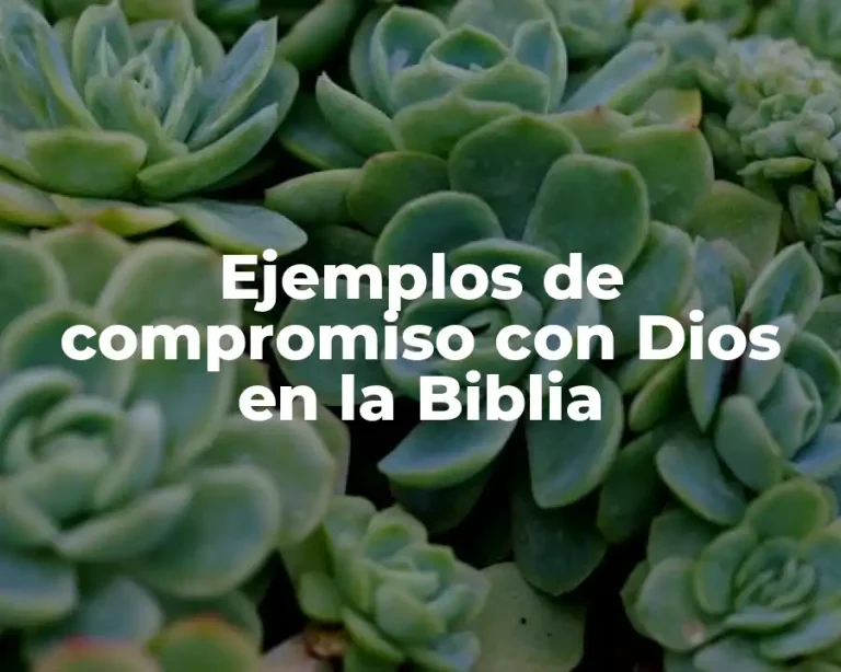 Ejemplos de compromiso con Dios en la Biblia