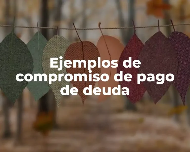 Ejemplos de compromiso de pago de deuda
