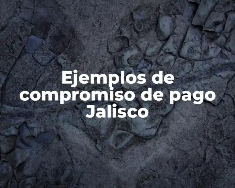 Ejemplos de compromiso de pago Jalisco