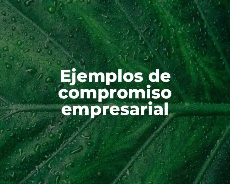 Ejemplos de compromiso empresarial