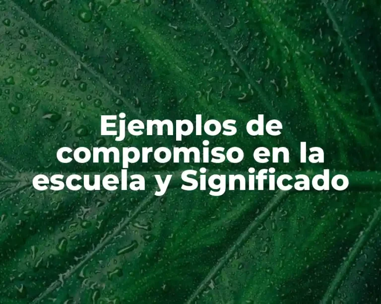 Ejemplos de compromiso en la escuela y Significado