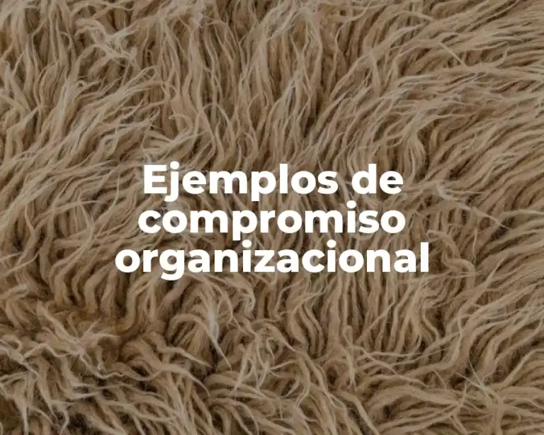 Ejemplos de compromiso organizacional