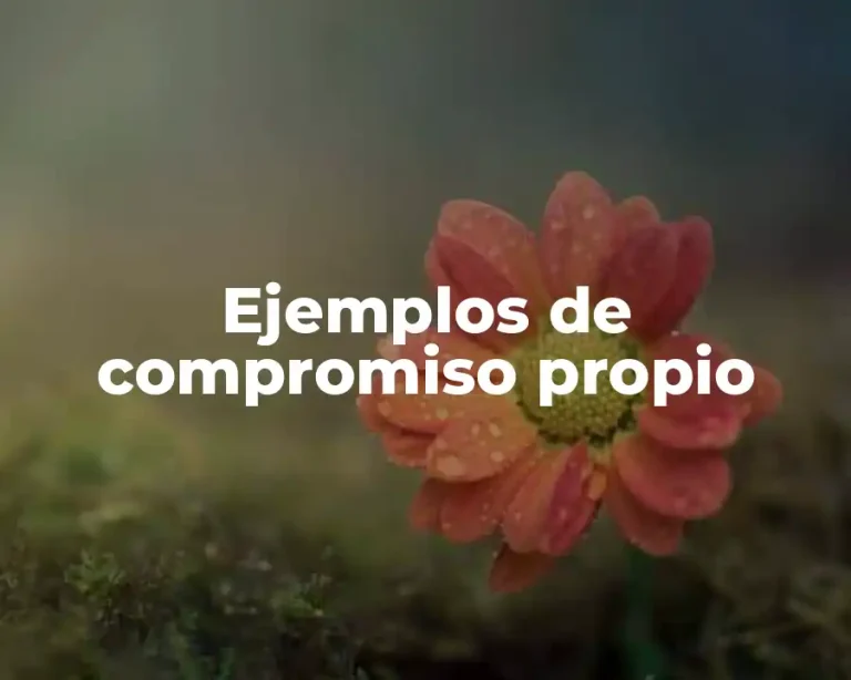Ejemplos de compromiso propio