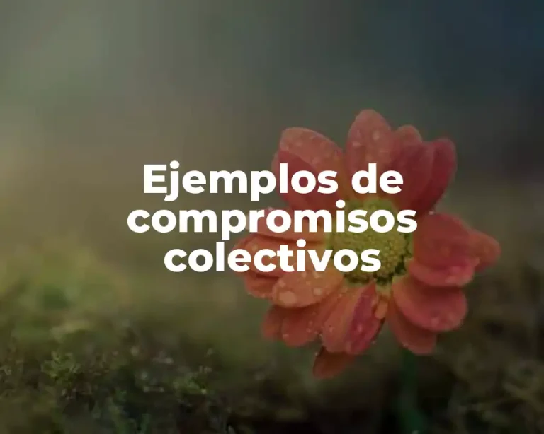 Ejemplos de compromisos colectivos