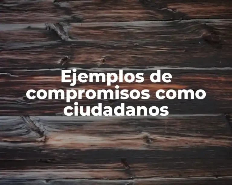 Ejemplos de compromisos como ciudadanos