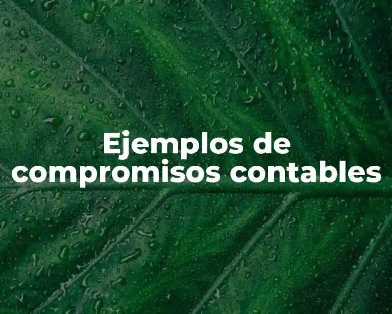 Ejemplos de compromisos contables