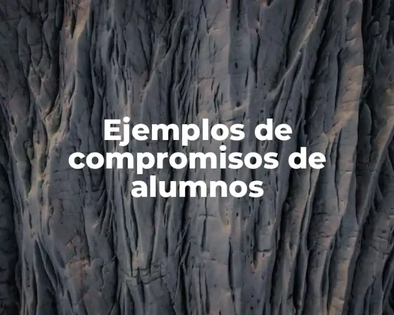 Ejemplos de compromisos de alumnos