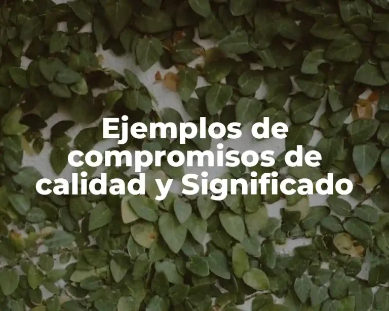 Ejemplos de compromisos de calidad y Significado
