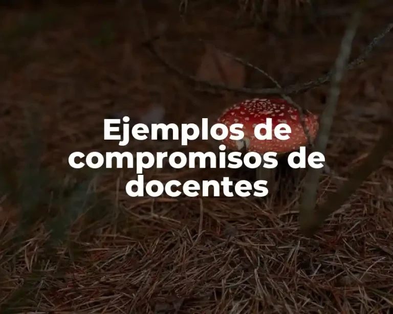 Ejemplos de compromisos de docentes