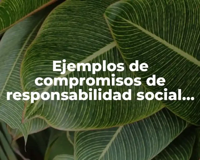 Ejemplos de compromisos de responsabilidad social personal