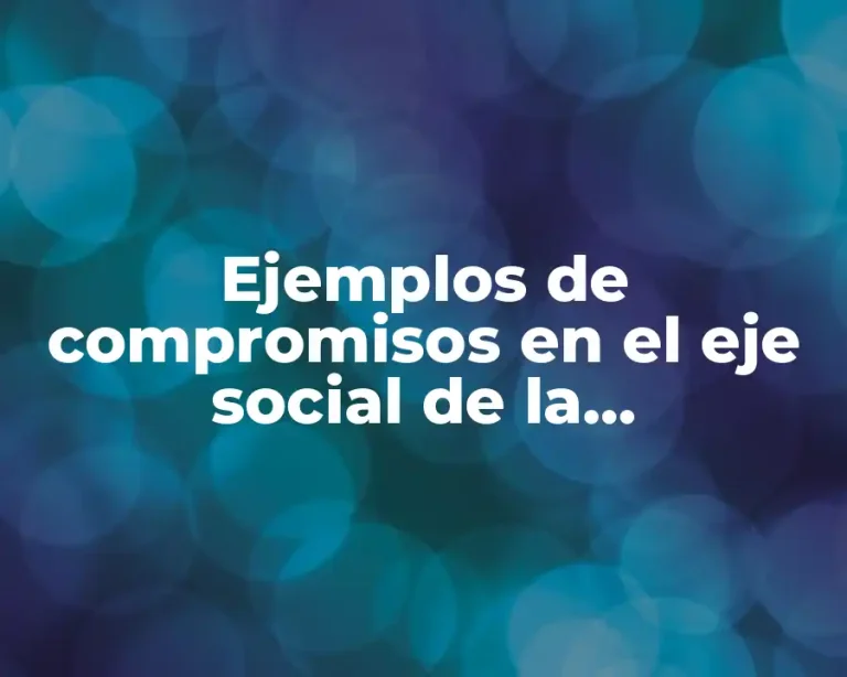 Ejemplos de compromisos en el eje social de la sustentabilidad y Significado