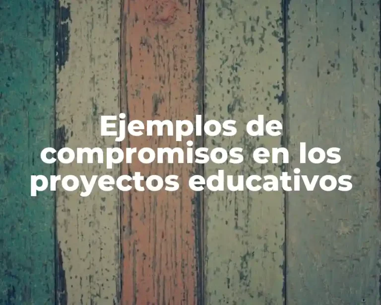 Ejemplos de compromisos en los proyectos educativos